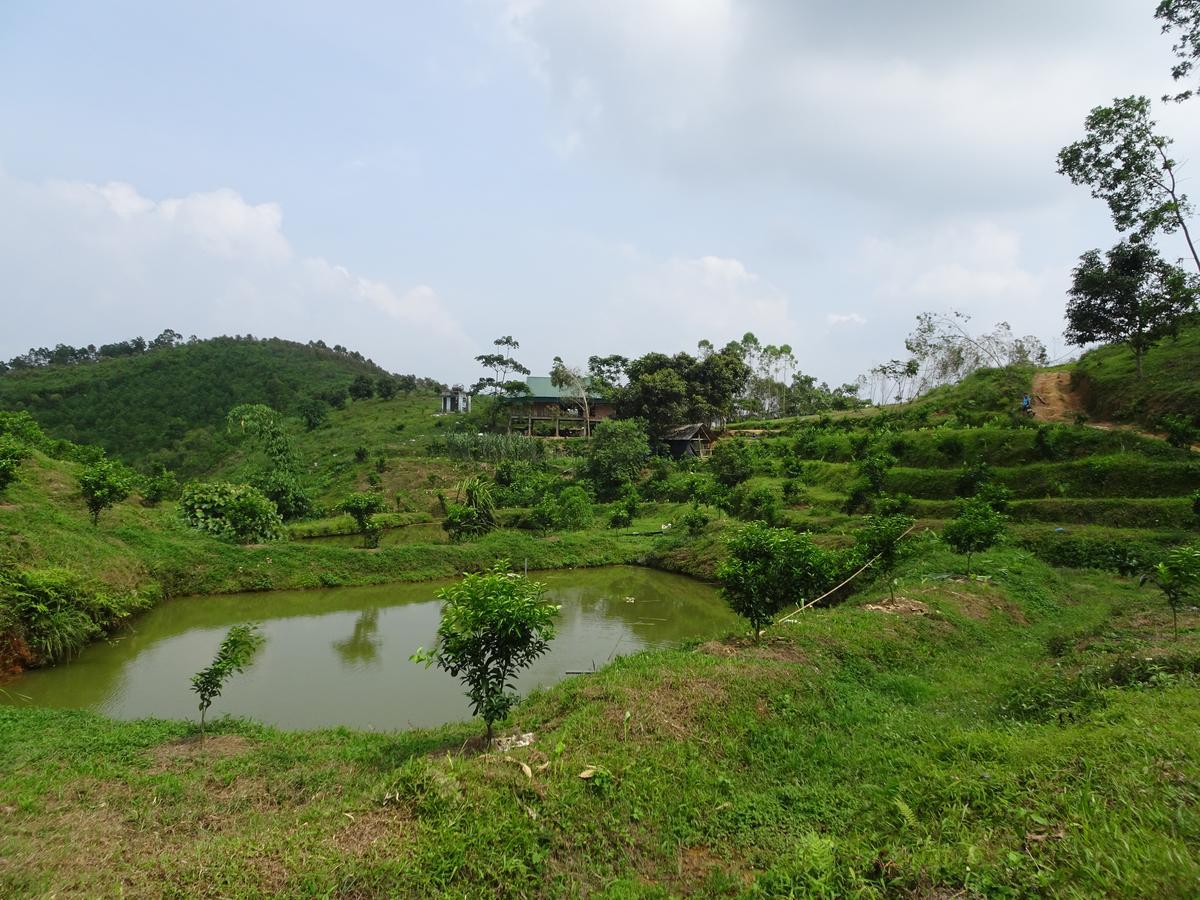 Thac Ba Family Homestay Ho To Exterior photo